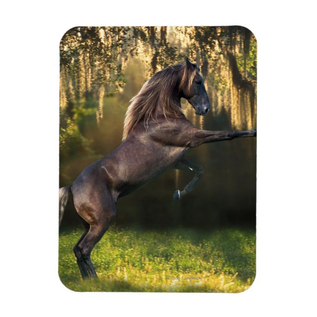 Fantasy Horses: Warrior Prince Magnet (Vertical)