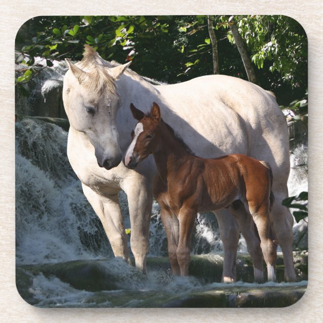 Fantasy Horses: Waterfall Coaster (Front)