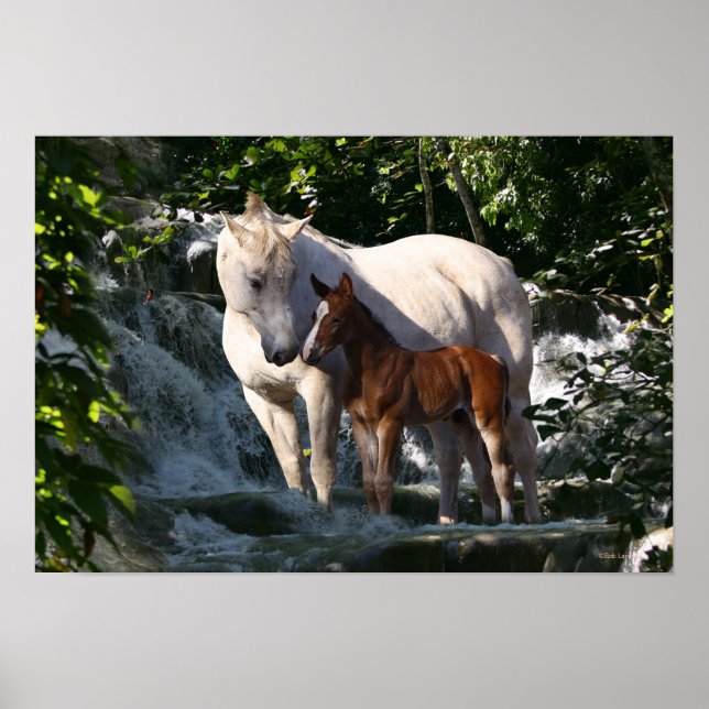 Fantasy Horses: Waterfall Poster (Front)