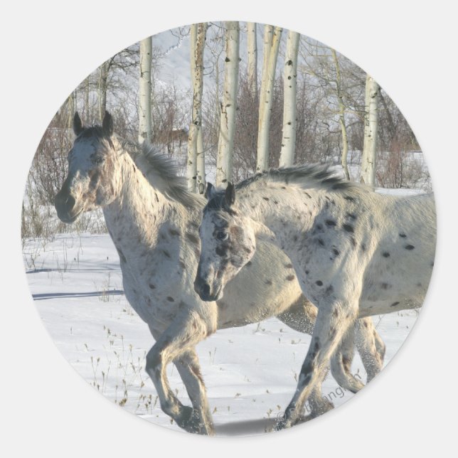 Fantasy Horses: Winter Wonderland Classic Round Sticker (Front)