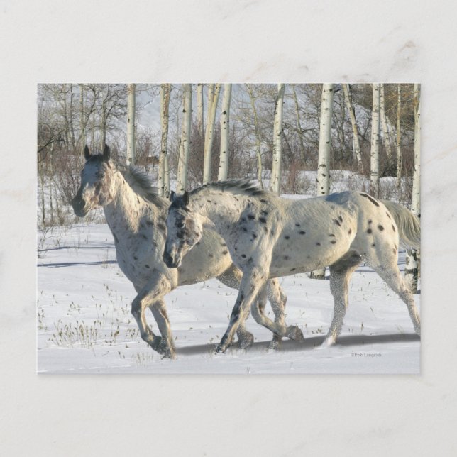 Fantasy Horses: Winter Wonderland Postcard (Front)