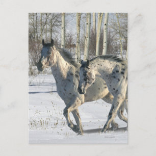 Fantasy Horses: Winter Wonderland Postcard