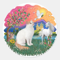 Fantasy Land (ff) - Turkish Van catt