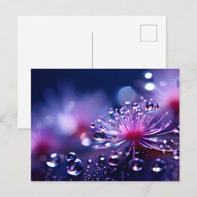 Fantasy macro water drops postcard (Front/Back)