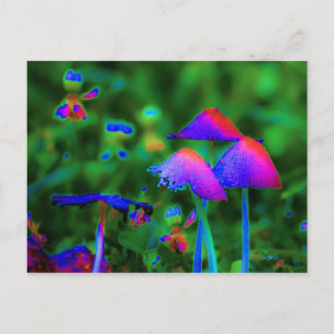 Fantasy Mushrooms Postcard