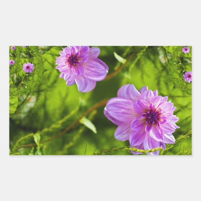 Fantasy Pink Dahlia Rectangular Sticker (Front)