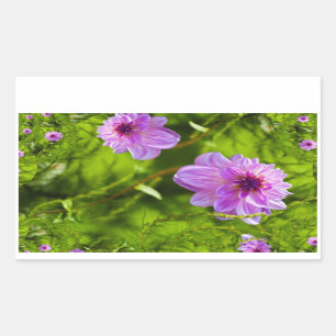 Fantasy Pink Dahlia Rectangular Sticker
