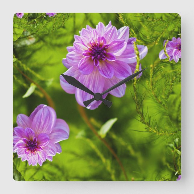 Fantasy Pink Dahlia Wall Clock (Front)