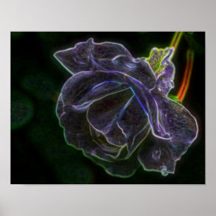 Fantasy Purple Rose Flower Poster