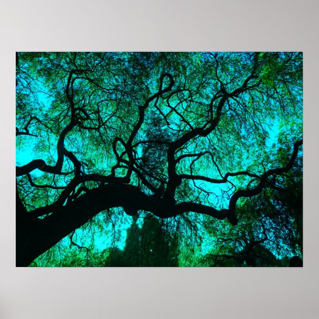 Fantasy Turquoise Tree Silhouette  Poster (Front)