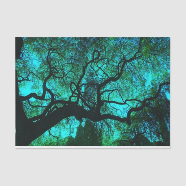 Fantasy Turquoise Tree Silhouette Tissue Paper (Front)