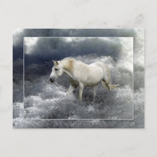 Fantasy White Horse & Ocean Surf Gifts Postcard