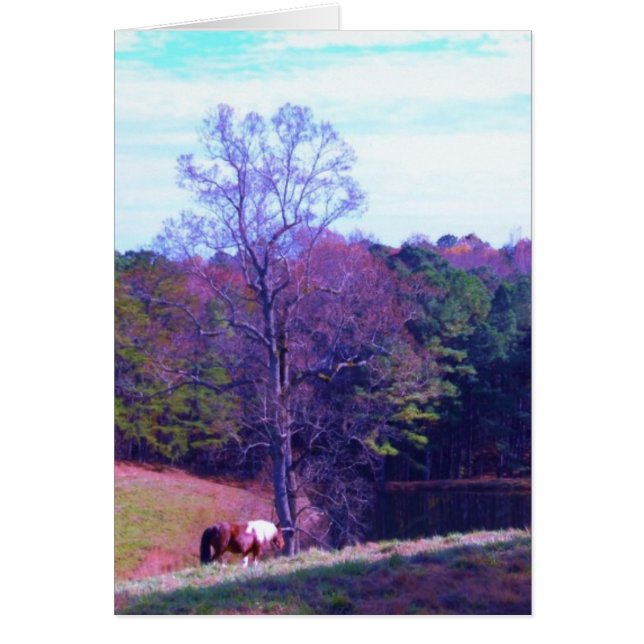 Far Away Horse in a Purple Field (Front)
