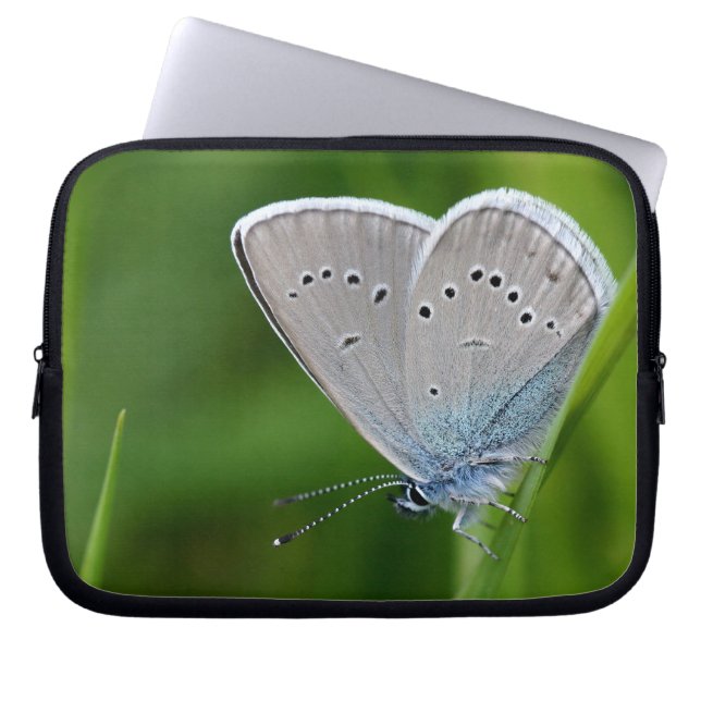 Farfalla Laptop Sleeve (Front)