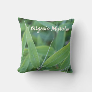 Fargesia murielae Bamboo plant for gardeners gift Cushion