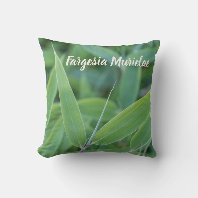 Fargesia murielae Bamboo plant for gardeners gift Cushion (Front)