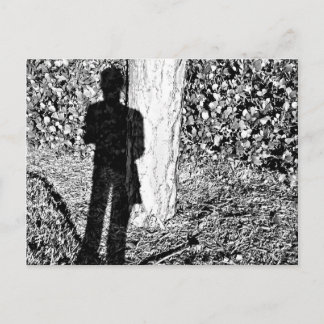 Farie Shadow Postcard