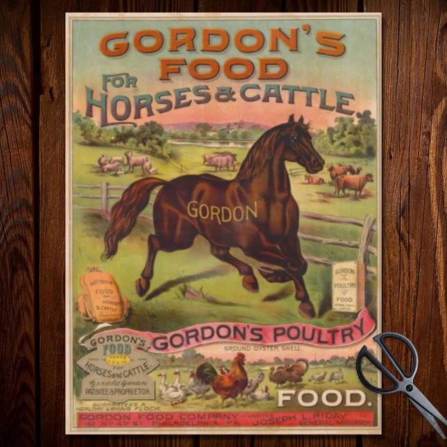 Farm Animal Food Advertising Ephemera  Tissue Paper (Creator Uploaded)