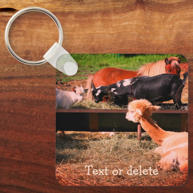 Farm Animal Friends Nature Personalised Key Ring (Front)