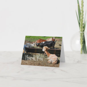 Farm Animal Friends Nature Thank You Card