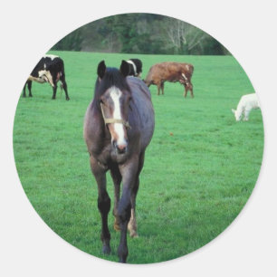 Farm Animal Pasture Classic Round Sticker