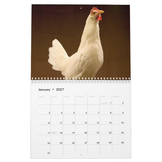 Farm Animal Photography Calendar (Jan 2027)
