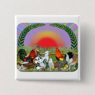 Farm Animals 15 Cm Square Badge