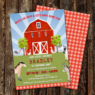 Farm Animals 1st Birthday Invitation