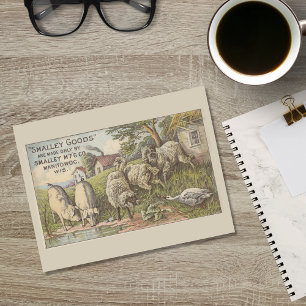 Farm Animals Advertising Ephemera Postcard
