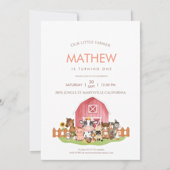 Farm animals Barnyard 1st 2nd Birthday Invitation (Front)