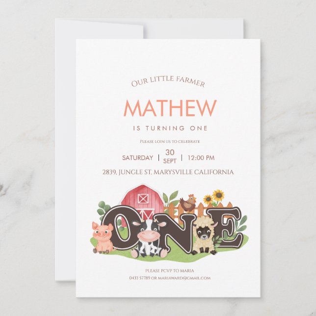 Farm animals Barnyard 1st First Birthday Invitation (Front)