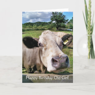 FARM ANIMALS, CUTE COW CARD