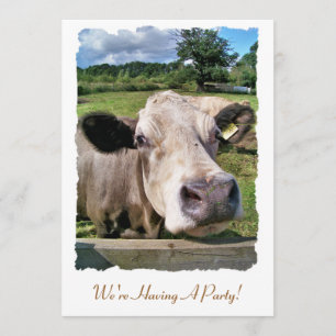 FARM ANIMALS, CUTE COW INVITATION