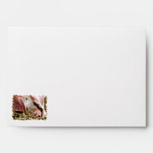 FARM ANIMALS, PIGS ENVELOPE