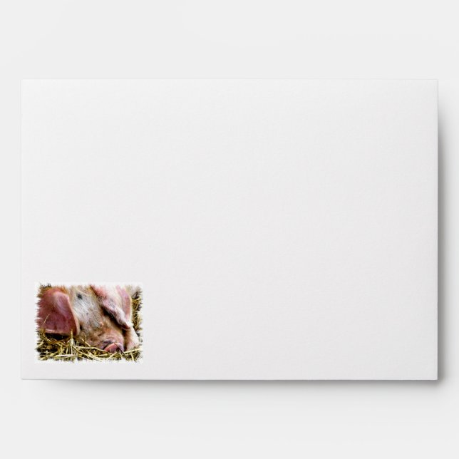 FARM ANIMALS, PIGS ENVELOPE (Front)