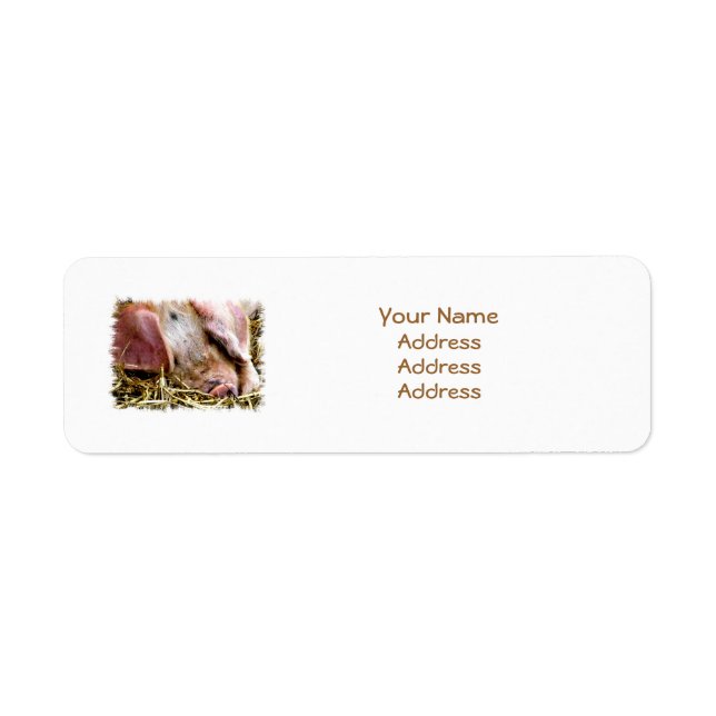 FARM ANIMALS, PIGS RETURN ADDRESS LABEL (Front)