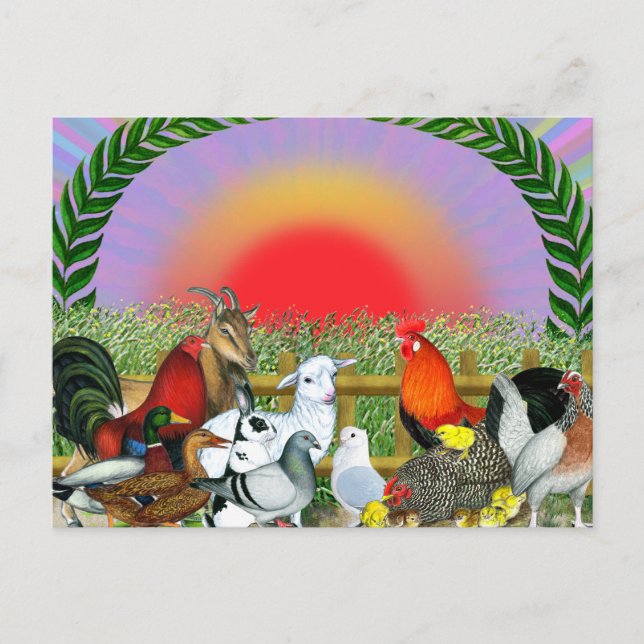 Farm Animals Postcard (Front)