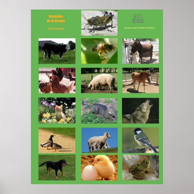 Farm Animals Poster .Animales de la granja (Front)