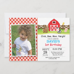 Farm Birthday Invitation Barnyard Party