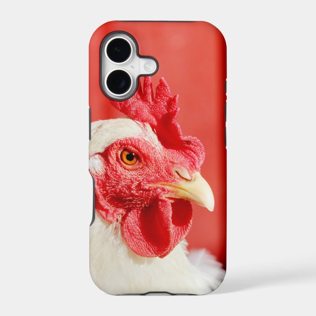 Farm Chicken  (Back)
