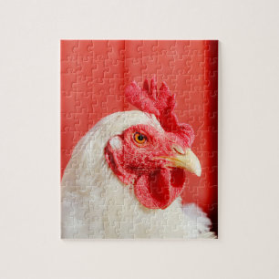 Farm Chicken  Jigsaw Puzzle