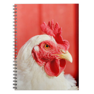 Farm Chicken Notebook