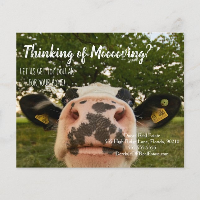 farm cow referral real estate marketing sell postc flyer (Front)