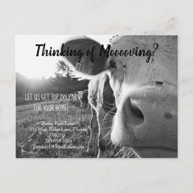 farm cow referral real estate marketing sell postc postcard (Front)