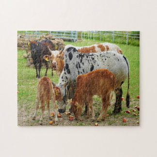 Farm cows jigsaw puzzle