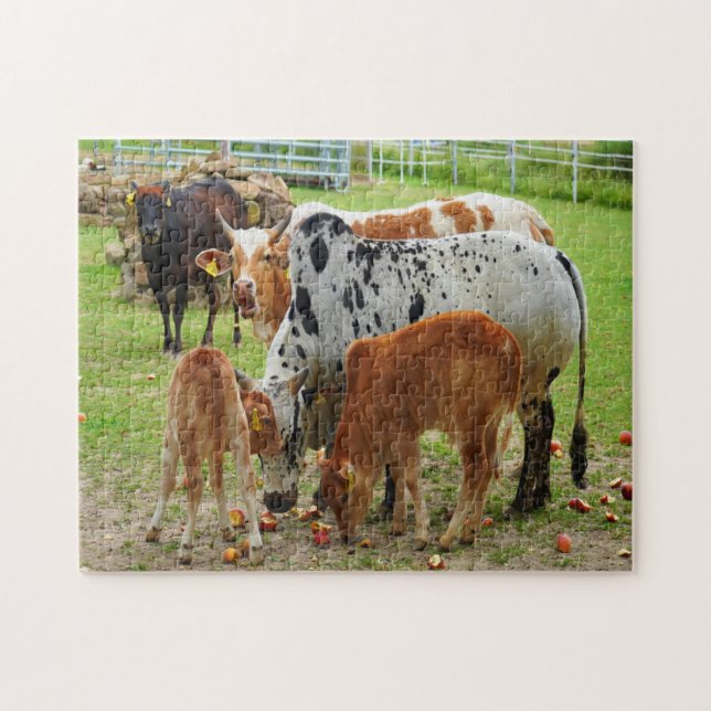 Farm cows jigsaw puzzle (Horizontal)