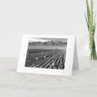 Farm, Farm Workers, Mt. Williamson 1943 Card