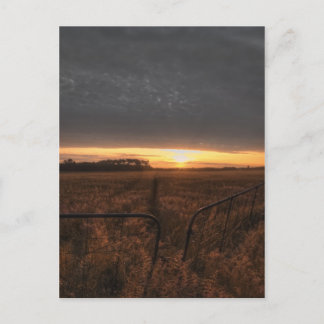 farm field postcard