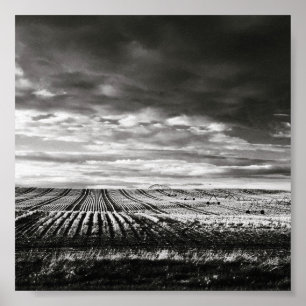farm field rows poster