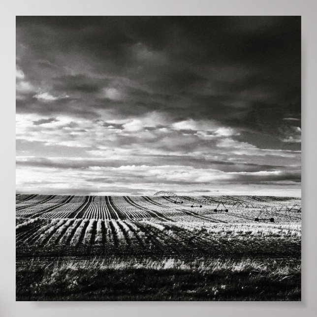farm field rows poster (Front)